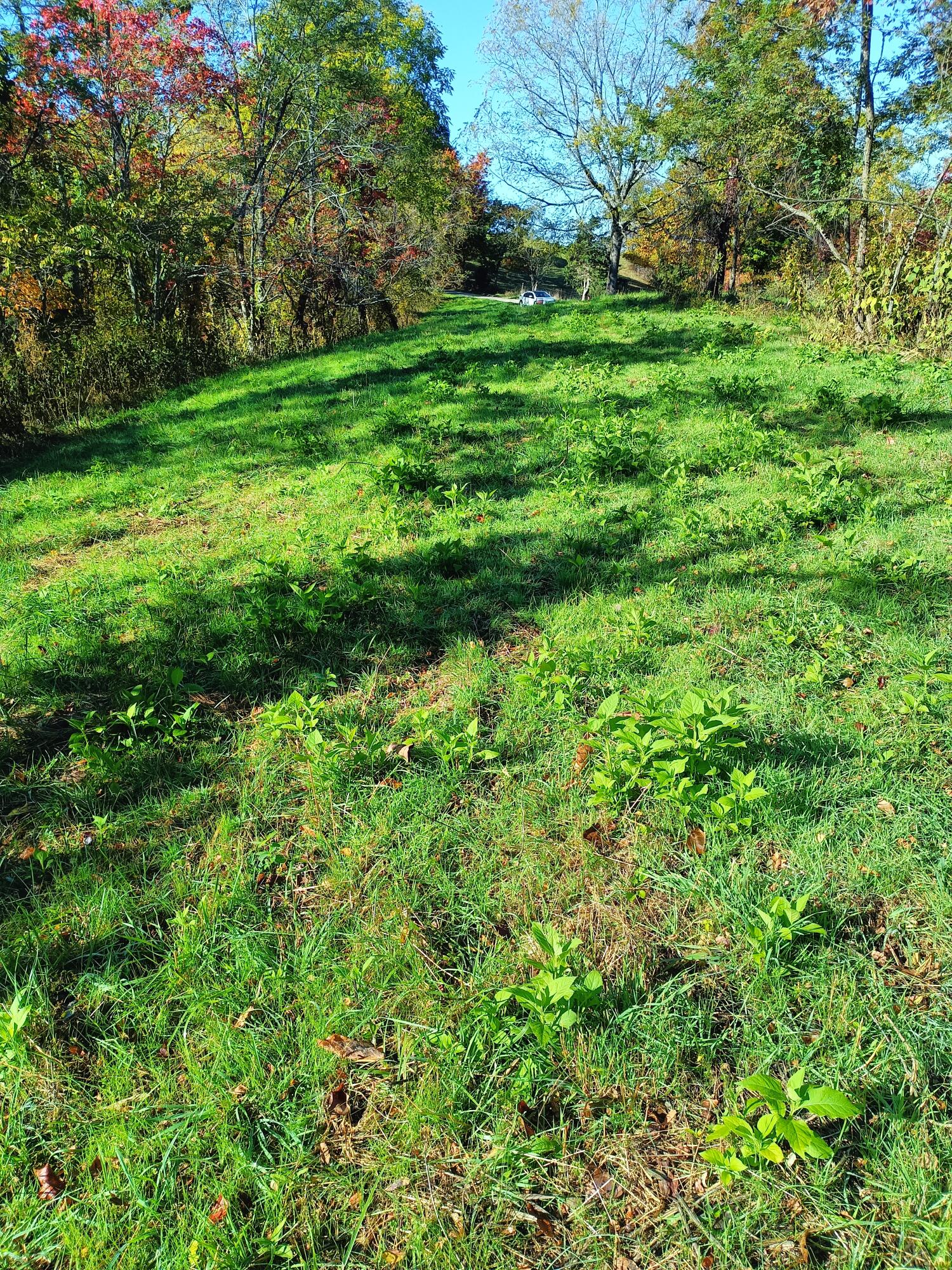 2631 Lick Ridge Road Northeast Check, VA 24072 - Photo 5 of 23 IMG20231019100924