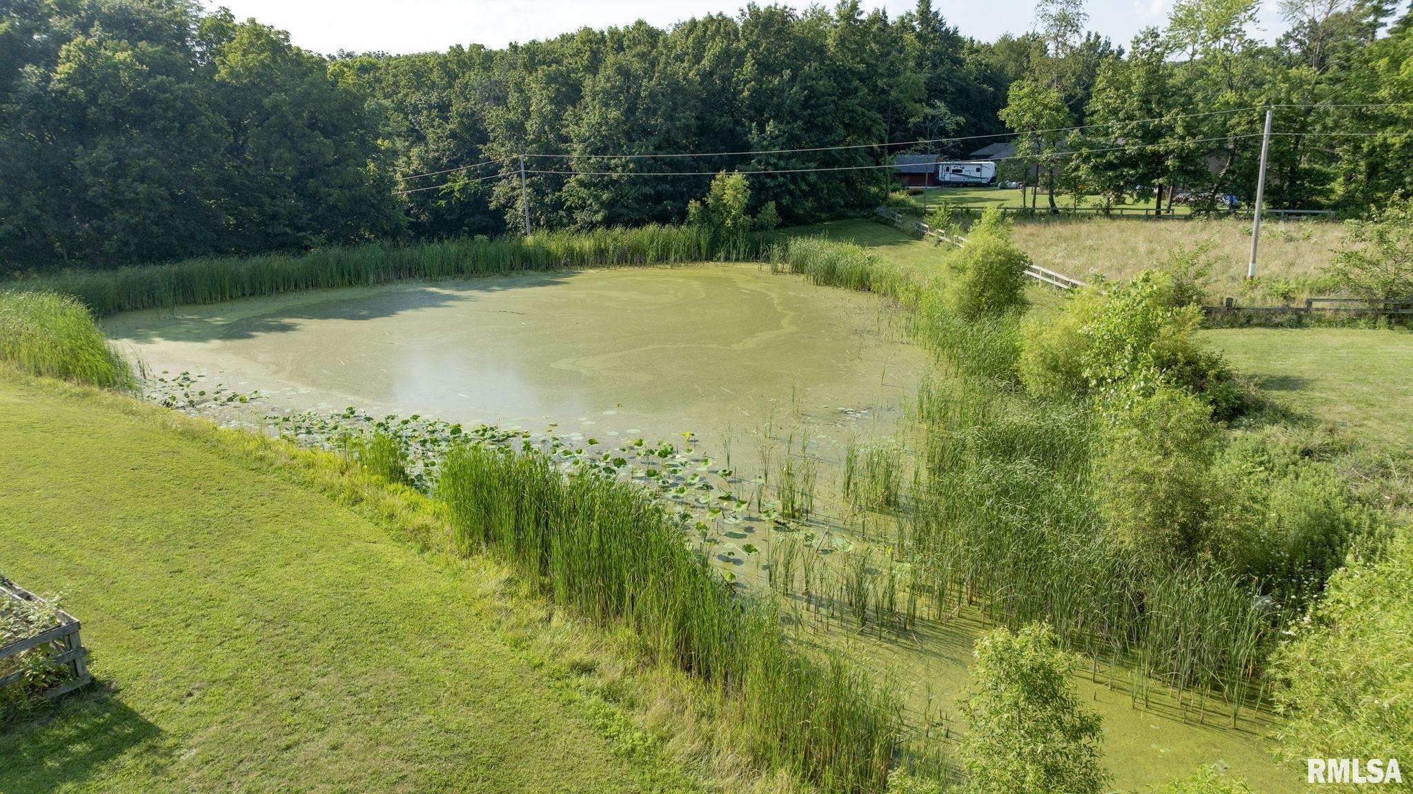 11710 9 Mile Road Modesto, IL 62667 - Photo 43 of 45