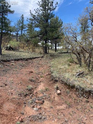 1537 Apache Road Florissant, CO 80816 - Photo 7 of 11