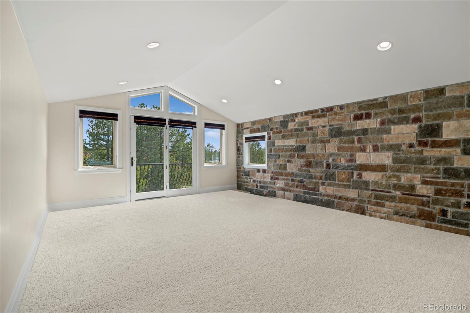 8972 Scenic Pine Drive Parker, CO 80134 - Photo 23 of 45