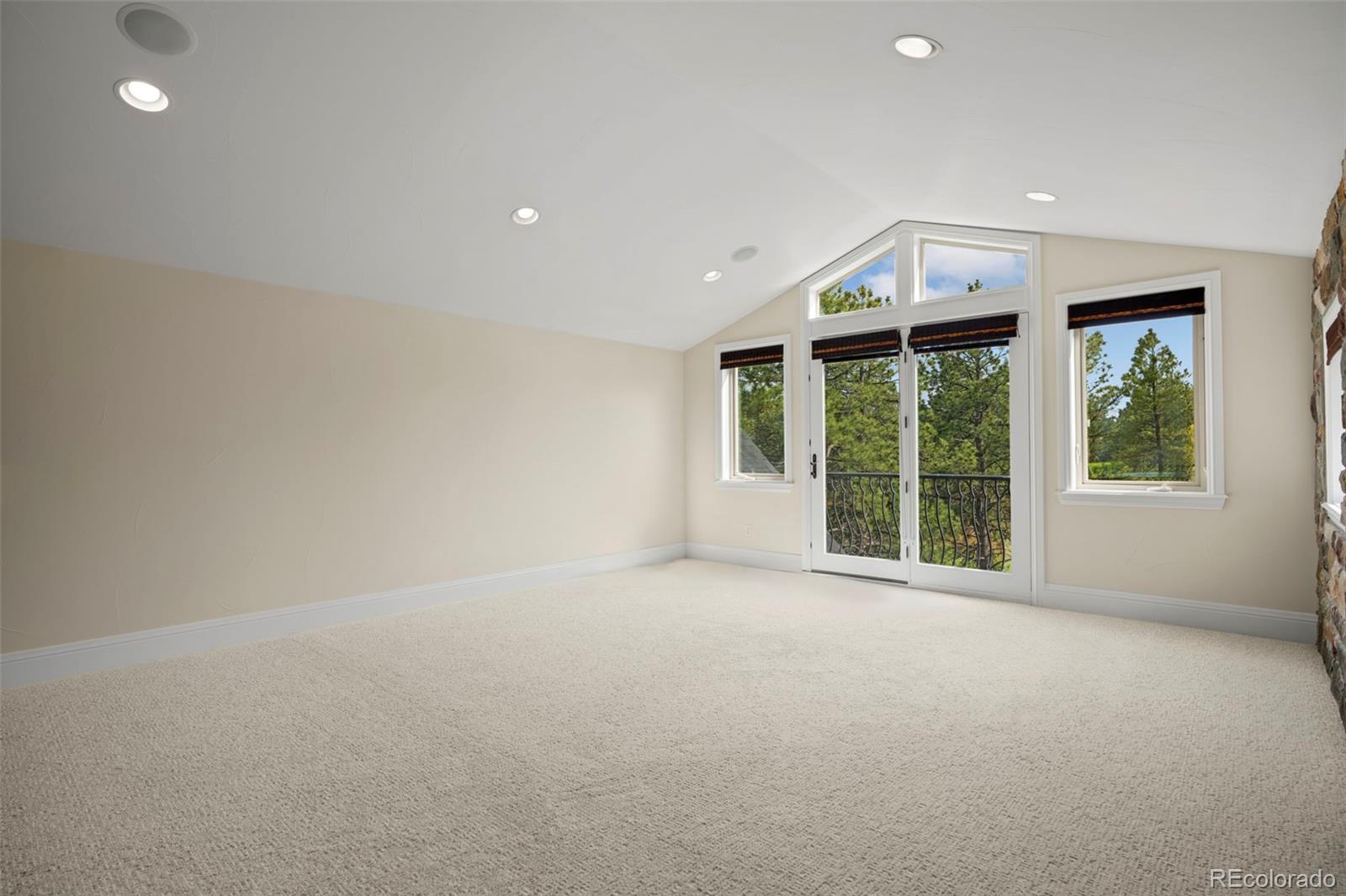 8972 Scenic Pine Drive Parker, CO 80134 - Photo 24 of 45