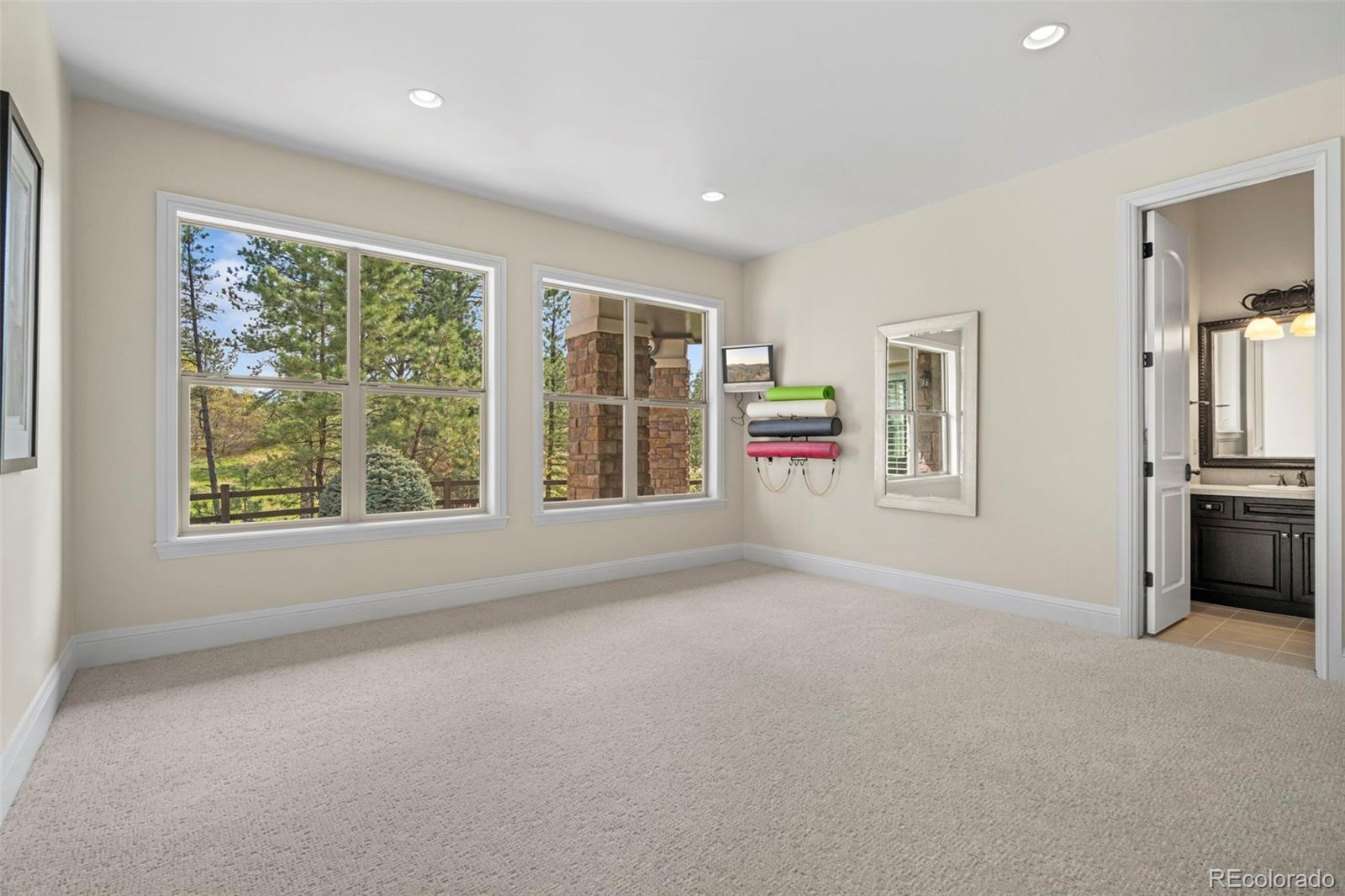 8972 Scenic Pine Drive Parker, CO 80134 - Photo 33 of 45