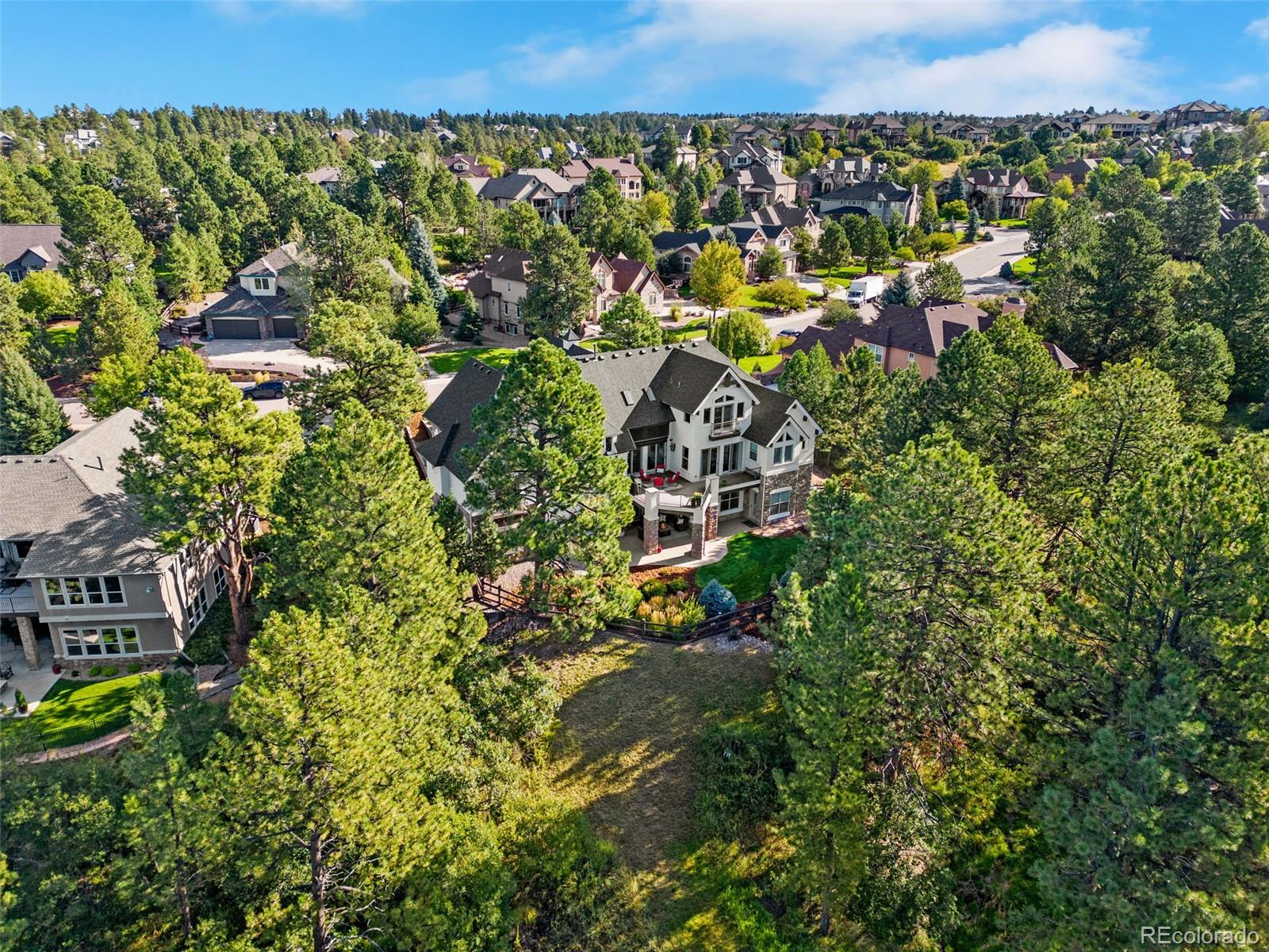 8972 Scenic Pine Drive Parker, CO 80134 - Photo 40 of 45