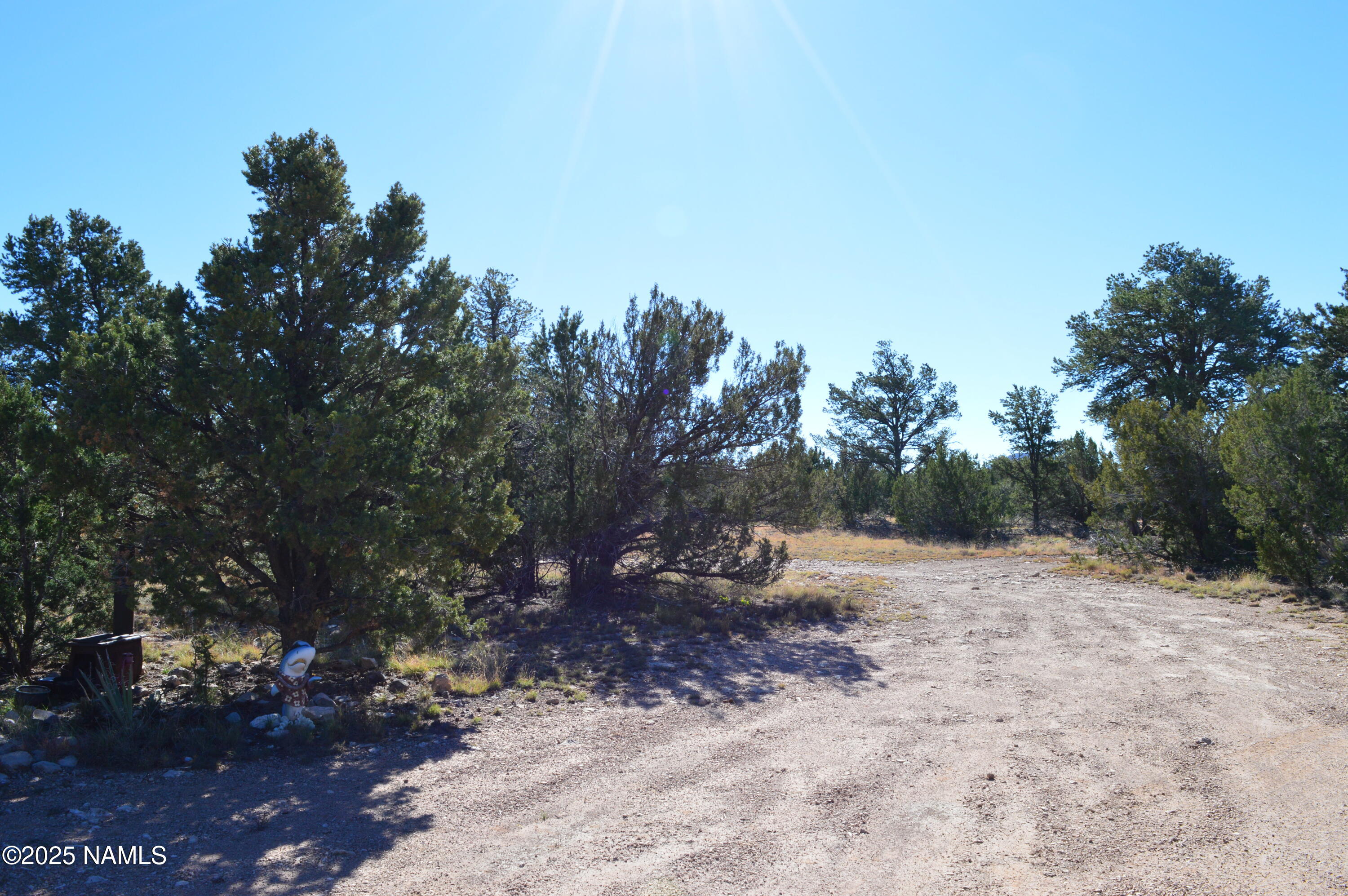 13887 Bly Station Road Williams, AZ 86046 - Photo 11 of 22 a view of dirt yard with a tree