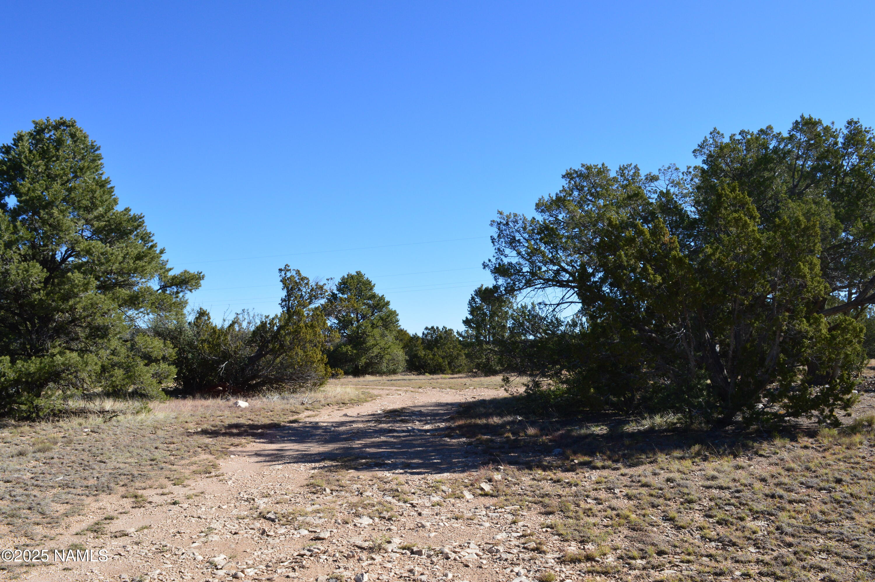 13887 Bly Station Road Williams, AZ 86046 - Photo 13 of 22 a view of a yard with trees and a wooden fence