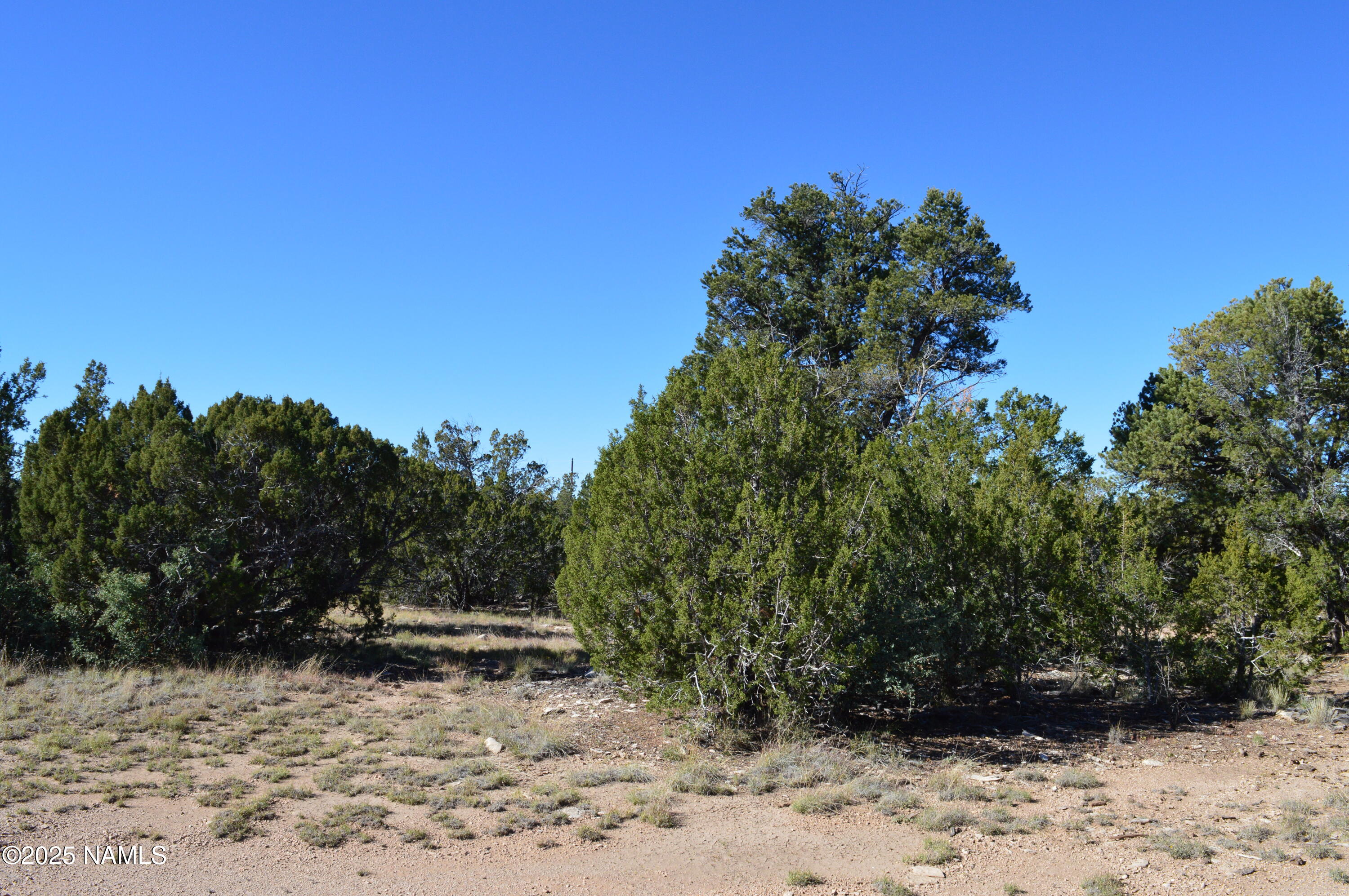 13887 Bly Station Road Williams, AZ 86046 - Photo 15 of 22 a view of a yard with wooden fence