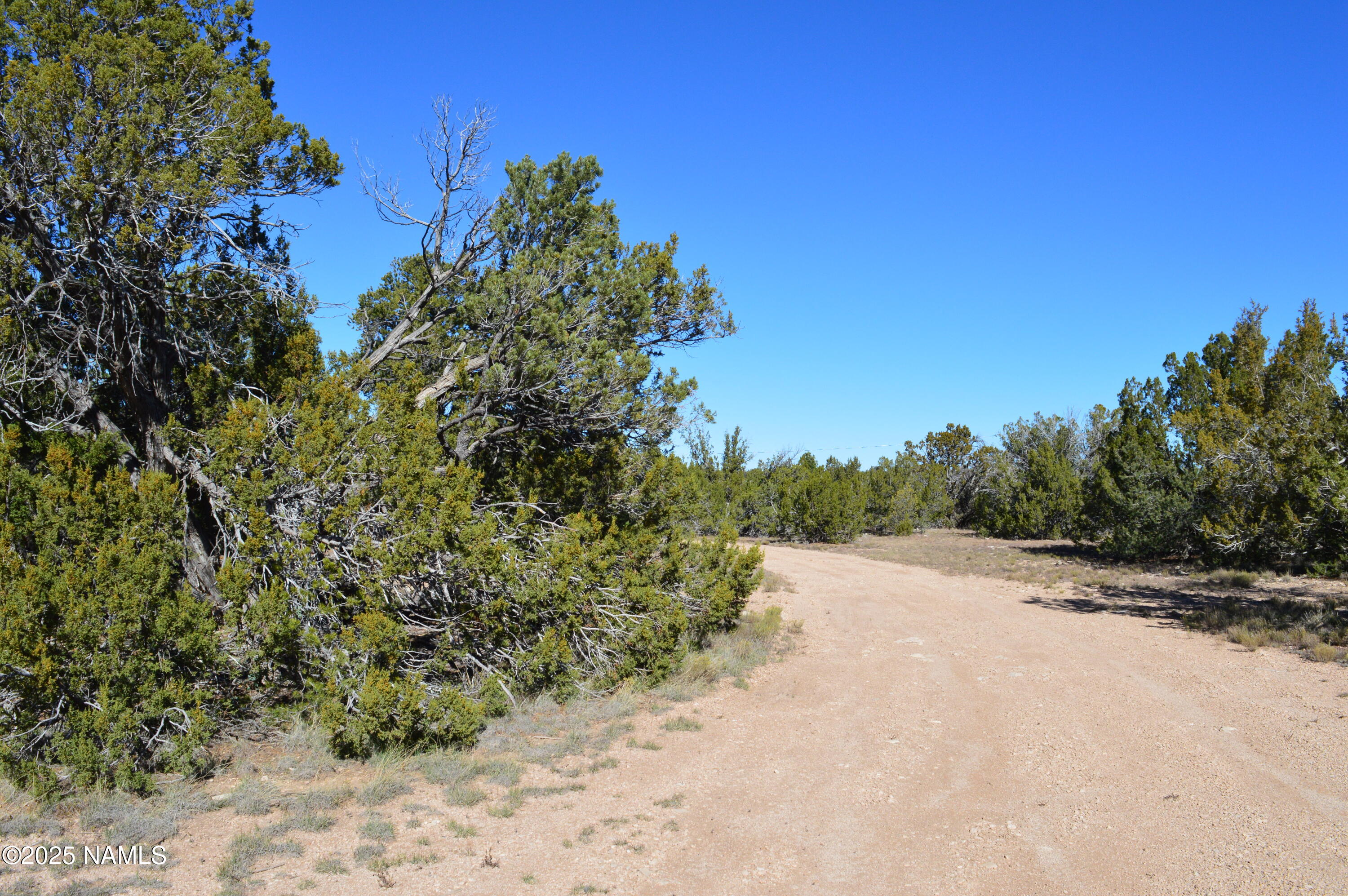 13887 Bly Station Road Williams, AZ 86046 - Photo 18 of 22 a view of a road with a yard
