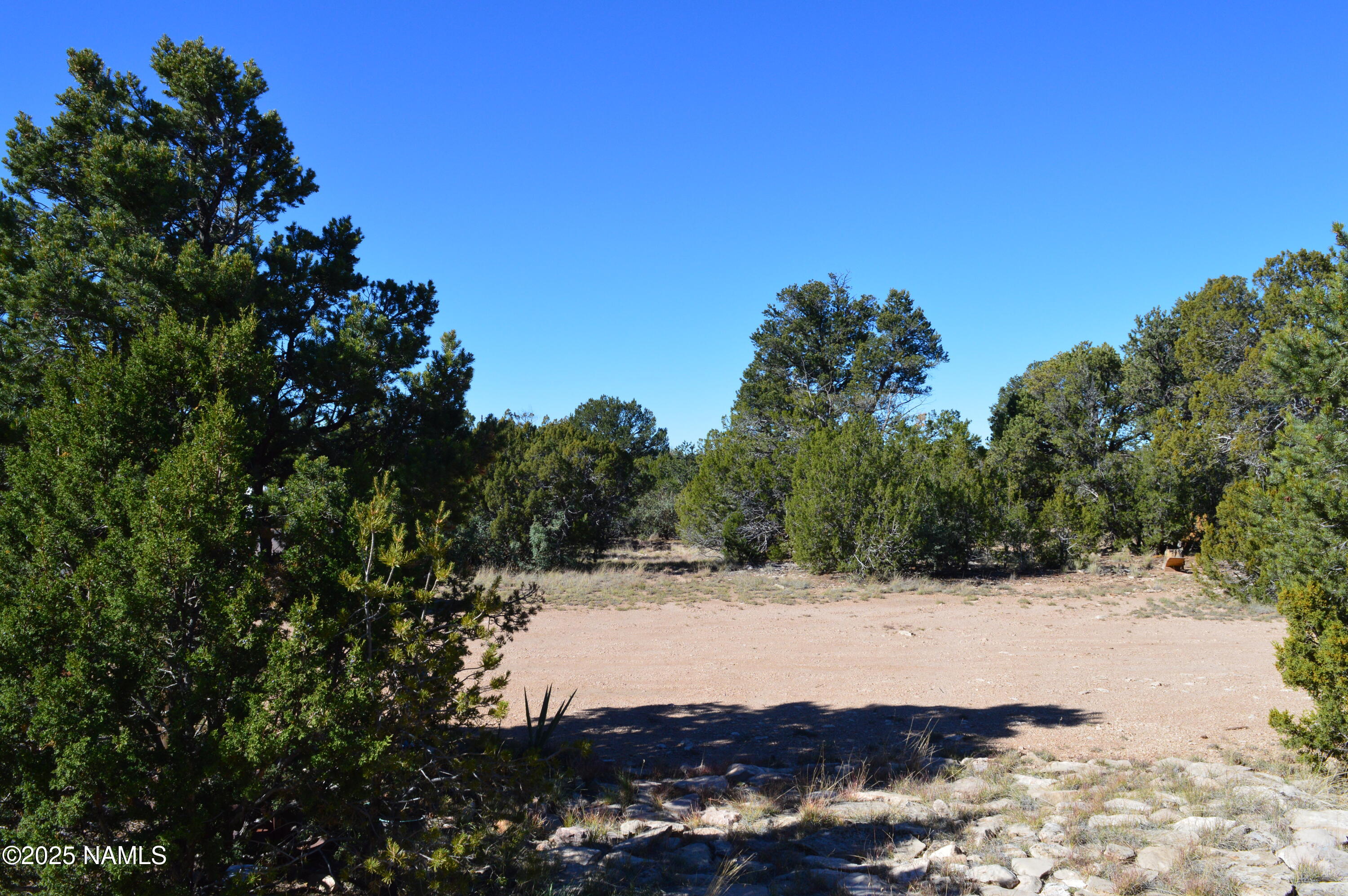 13887 Bly Station Road Williams, AZ 86046 - Photo 21 of 22 a view of outdoor space with mountain view