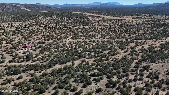 a view of dirt yard with a tree