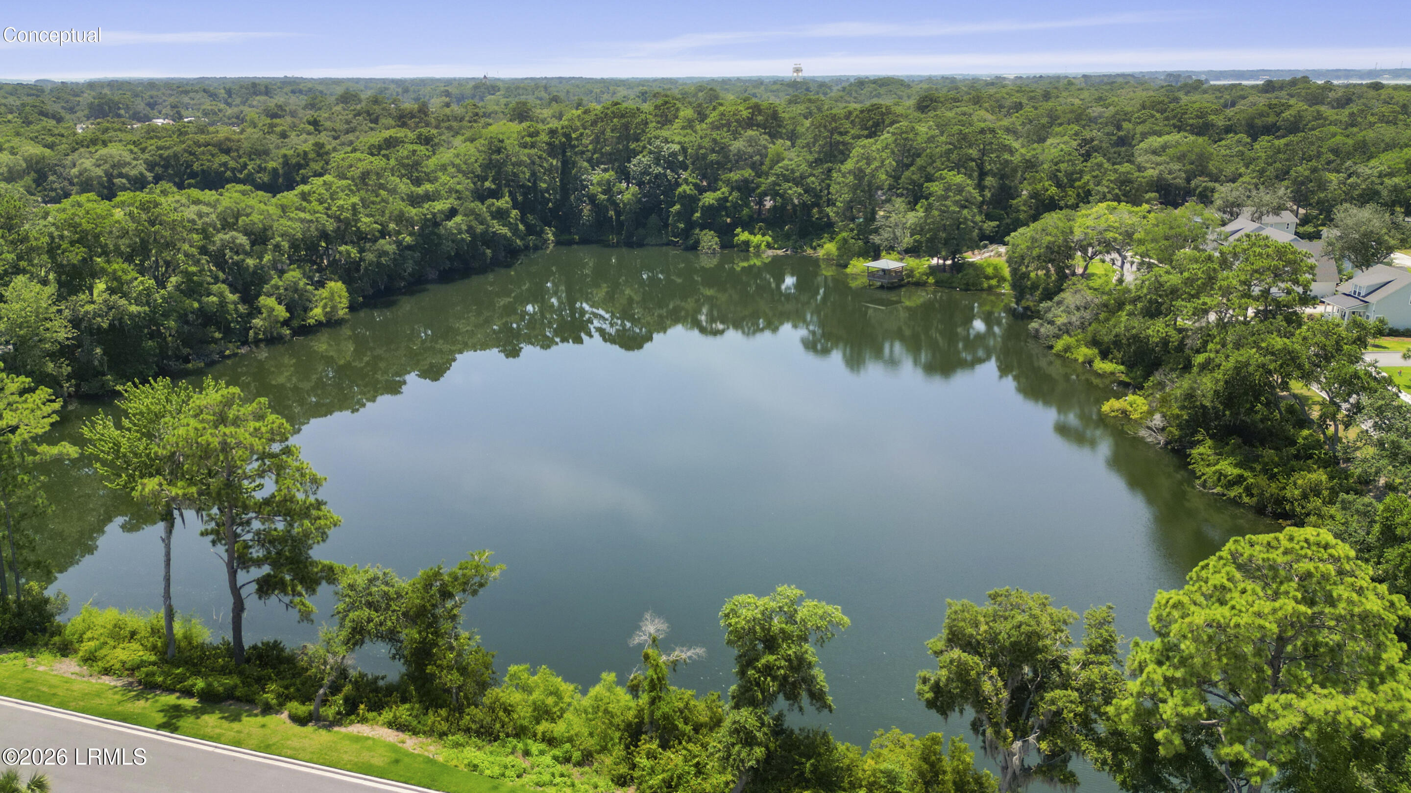 3 Basin Trl Street Beaufort, SC 29907 - Photo 10 of 15 Community Lake