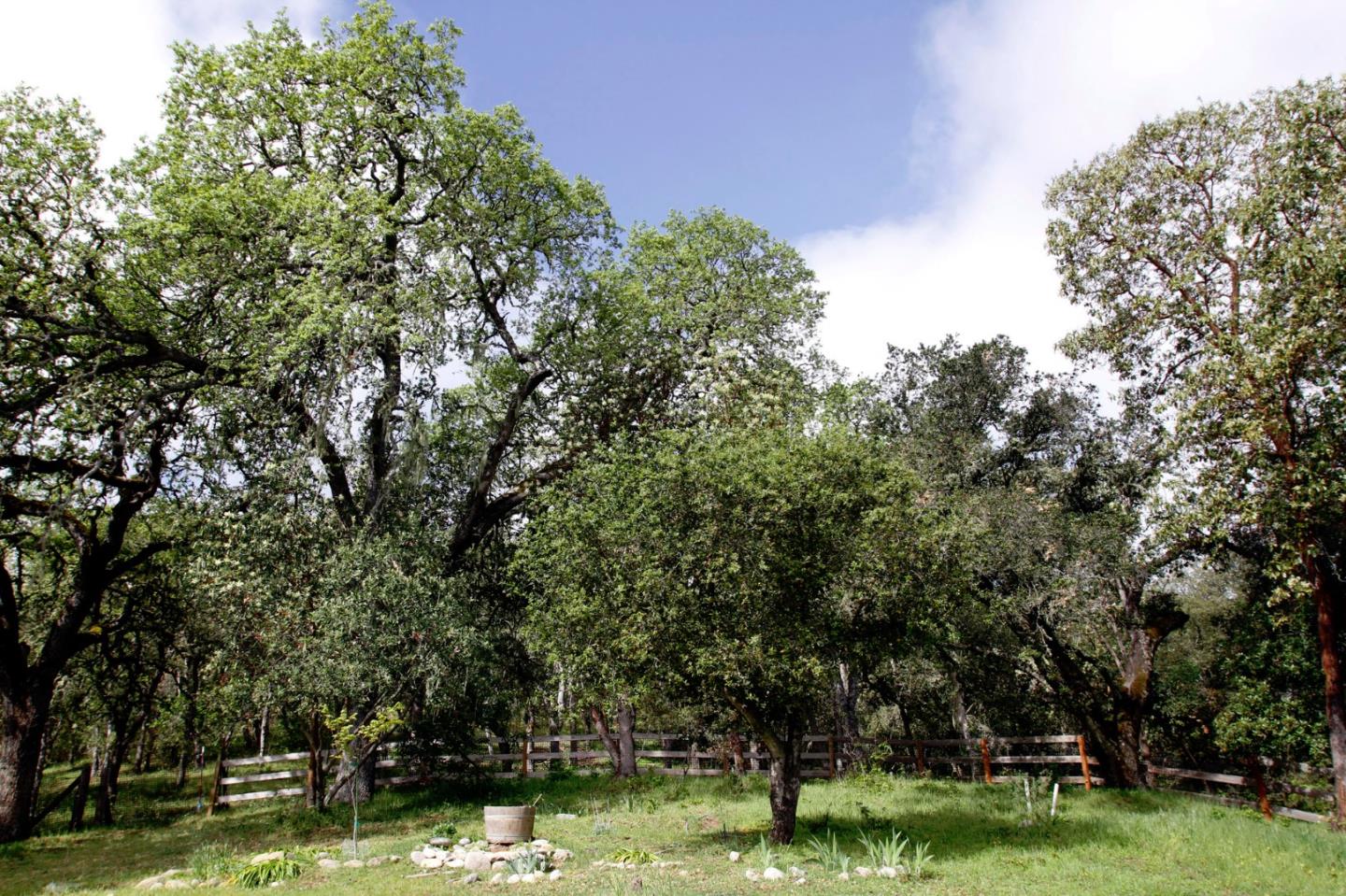 38625 Oak Road Carmel Valley, CA 93924 - Photo 23 of 24 Gallery Image 23