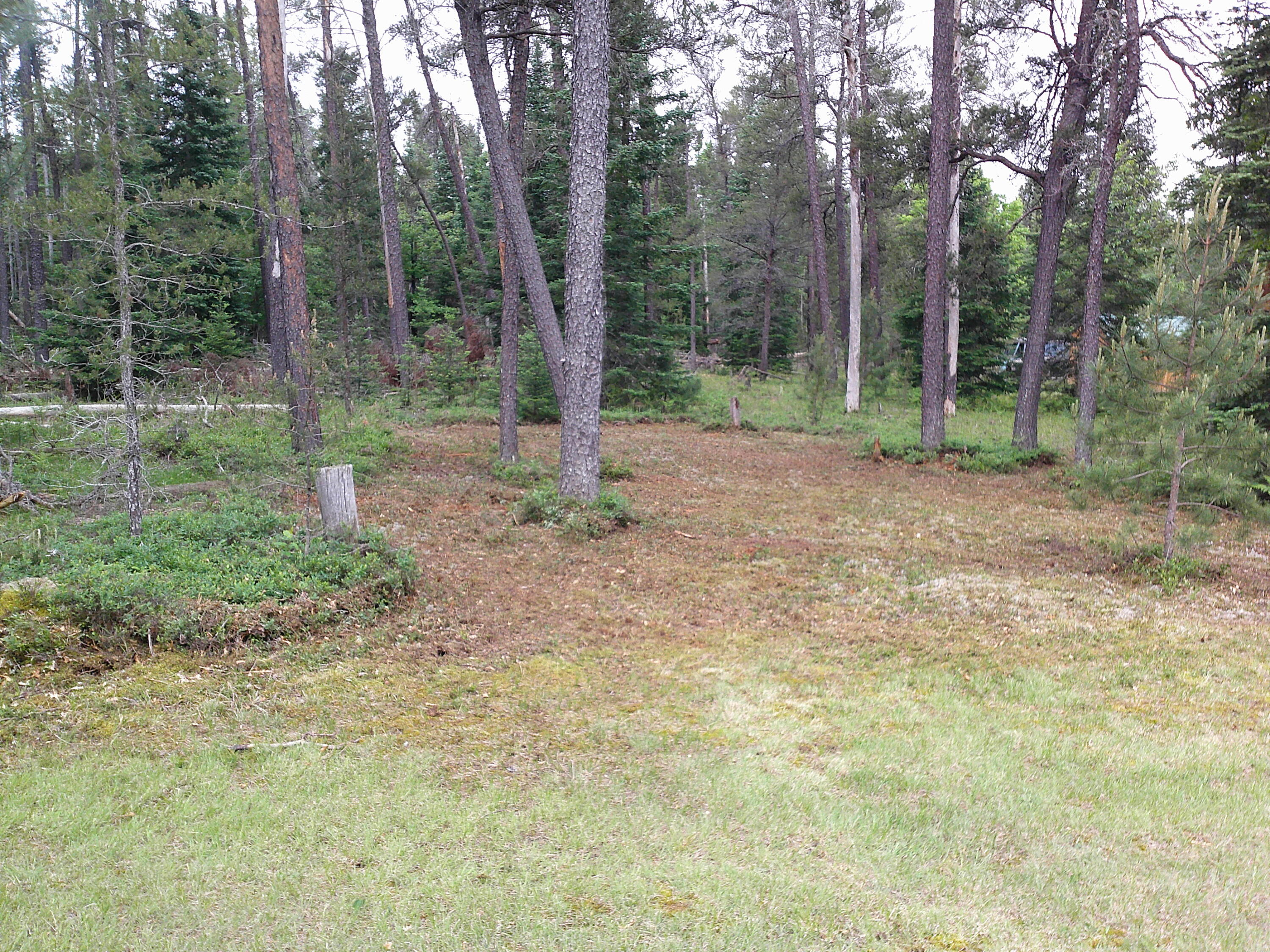 Shaw Park Road Grayling, MI 49738 - Photo 8 of 12 Gallery Image 8