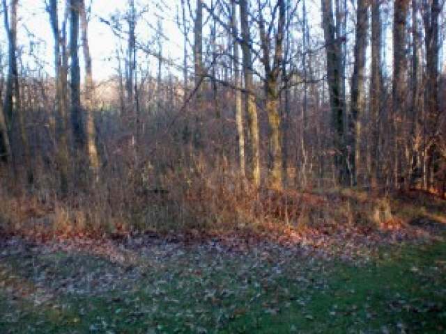 On Elton Road Elton, WI 54430 - Photo 2 of 11 Gallery Image 2