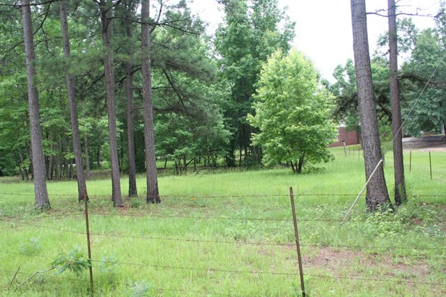 407 Pecos Road Hephzibah, GA 30815 - Photo 24 of 24 Gallery Image 24