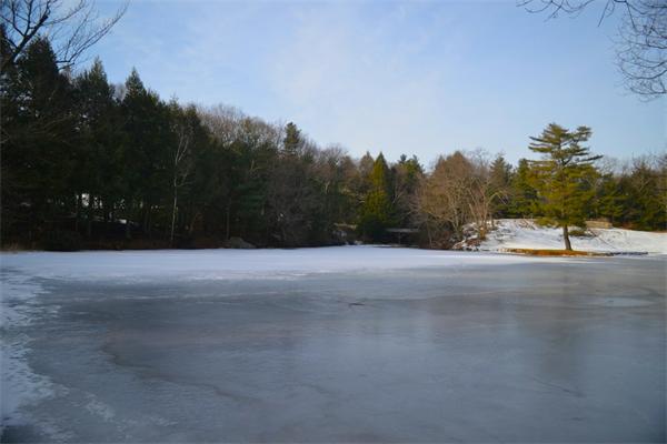 2 Willow Road Weston, MA 02493 - Photo 20 of 21 a view of road with trees