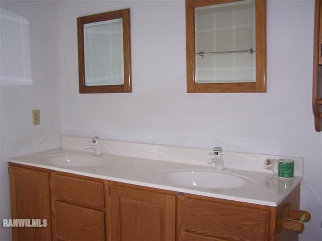 9283 East Greenvale Road Stockton, IL 61085 - Photo 8 of 12 a bathroom with a sink and a mirror