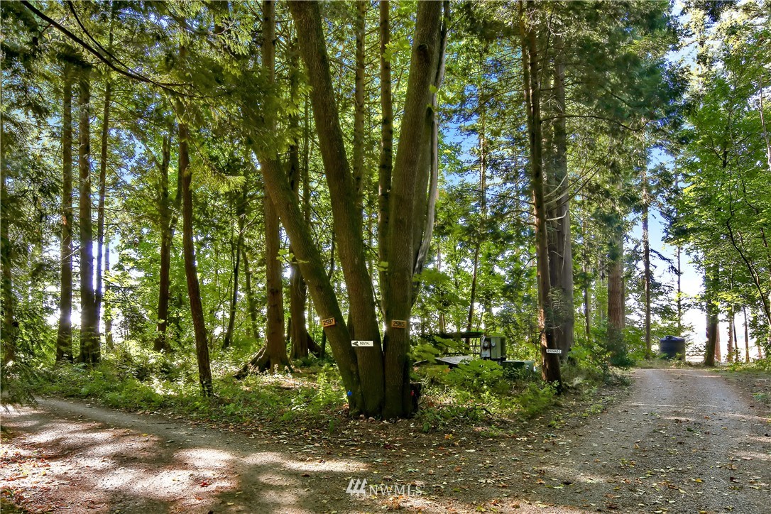 2587 Birch Bay Lynden Road Custer, WA 98240 - Photo 3 of 39 a view of outdoor space and green space