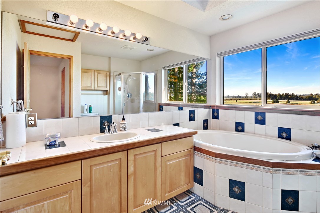 2587 Birch Bay Lynden Road Custer, WA 98240 - Photo 26 of 39 a view of double vanity sink a mirror and a window