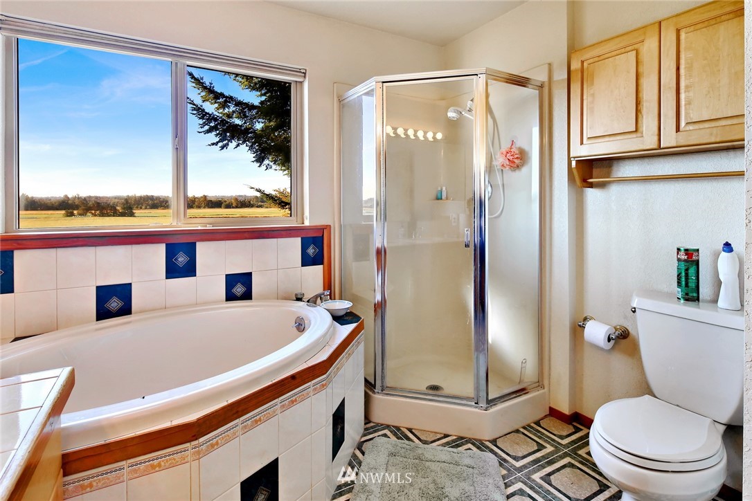 2587 Birch Bay Lynden Road Custer, WA 98240 - Photo 27 of 39 a bathroom with a sink a toilet and a shower