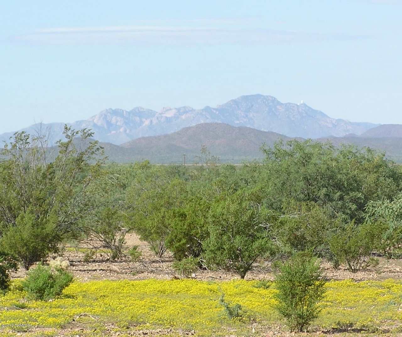 751 North Double T J Ranch Road Tucson, AZ 85743 - Photo 17 of 21 Gallery Image 17