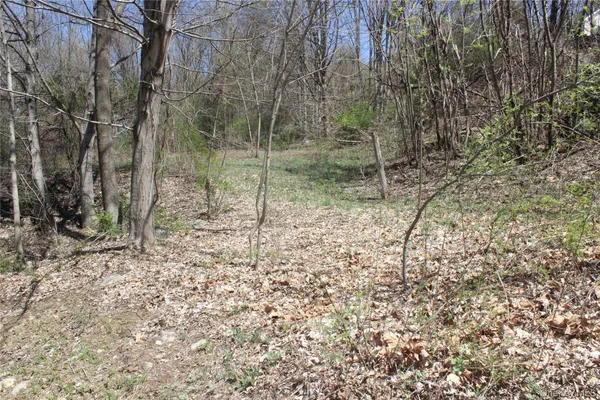 $85,000 | 0 Old State Route 22, Amenia, NY 12501