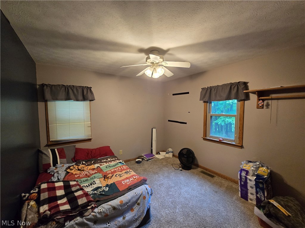 5209 Hanson Hill Road Stockport, OH 43787 - Photo 16 of 44