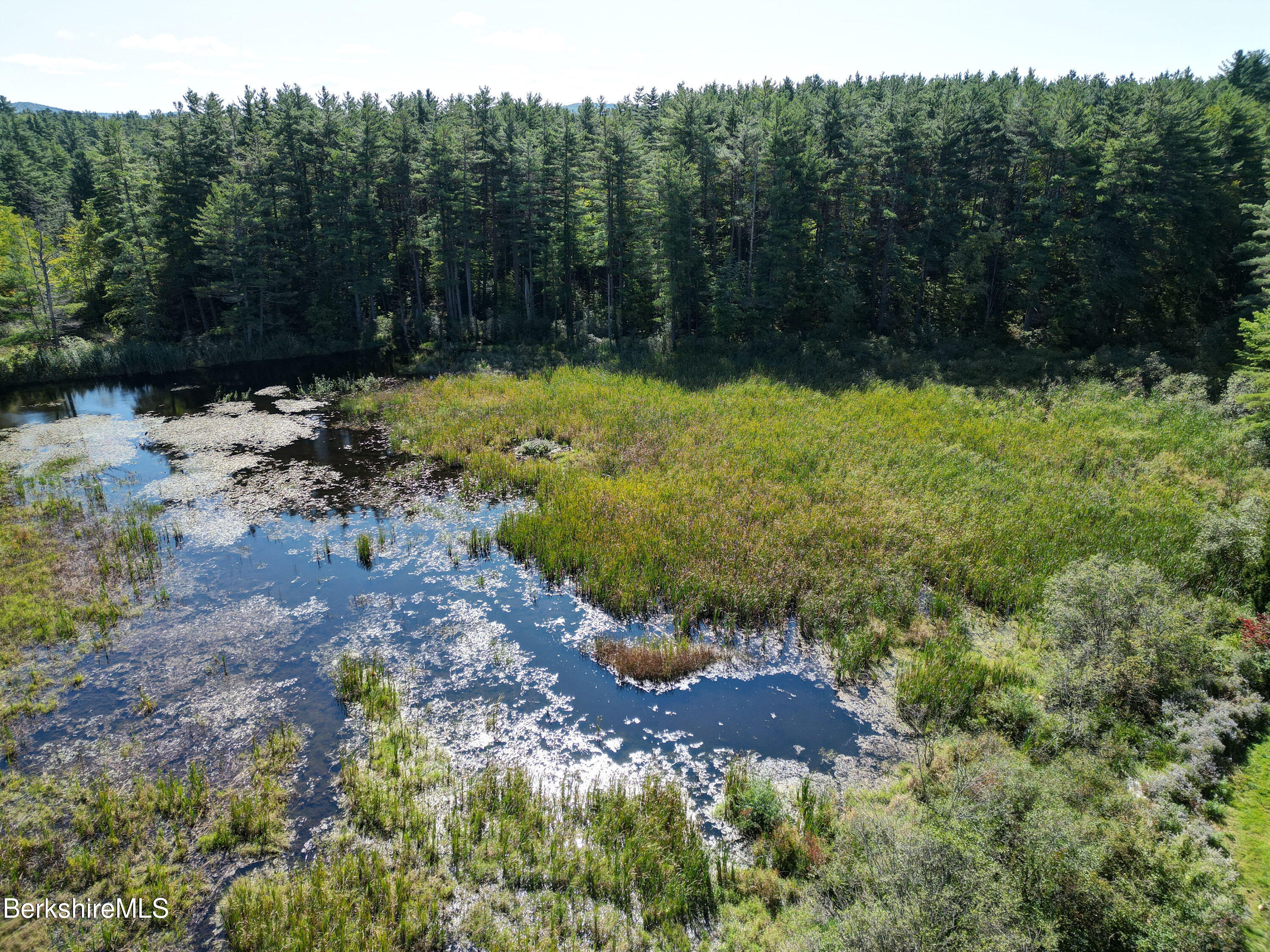 56 Brett Road Monterey, MA 01245 - Photo 21 of 22 a view of swimming pool with a yard