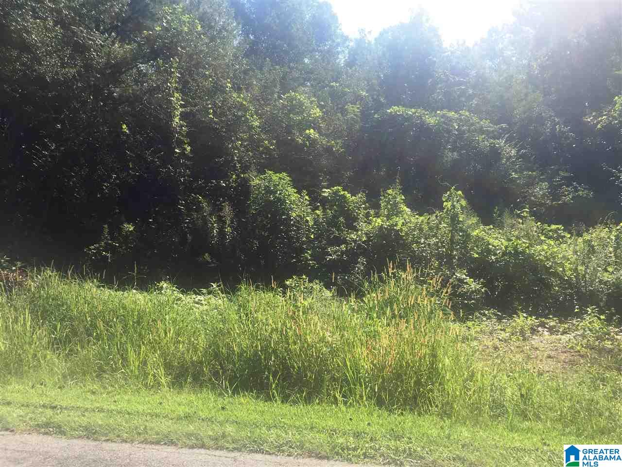 0 Astor Avenue, Unit 13 Weaver, AL 36277 - Photo 1 of 4