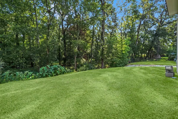 a view of a field with a tree