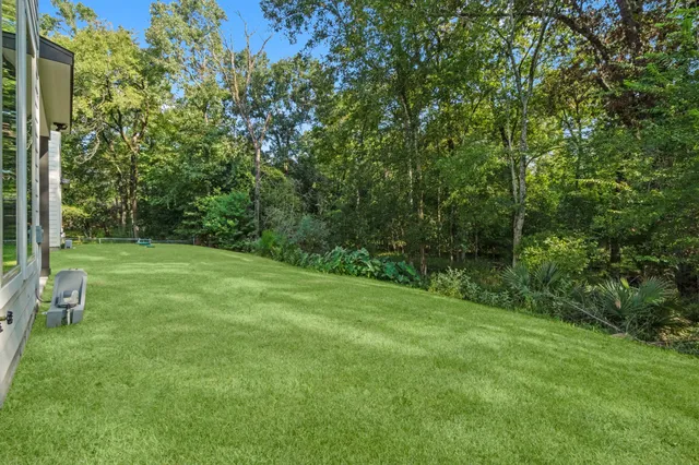 a view of a grassy field with trees