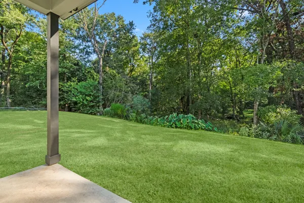 a view of a garden with a tree