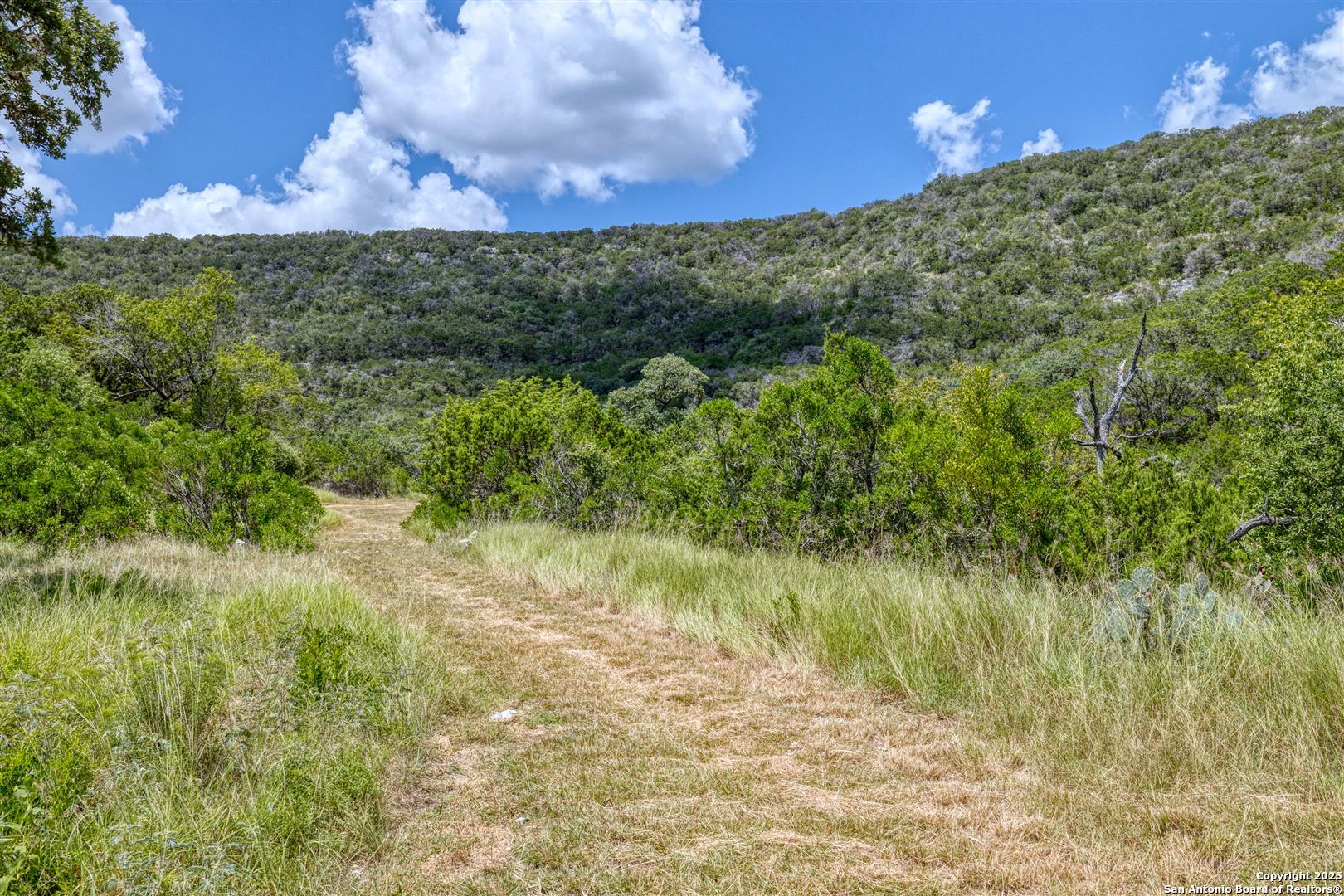 2242 Patterson Creek Road Leakey, TX 78873 - Photo 18 of 57 a view of a lake with a yard