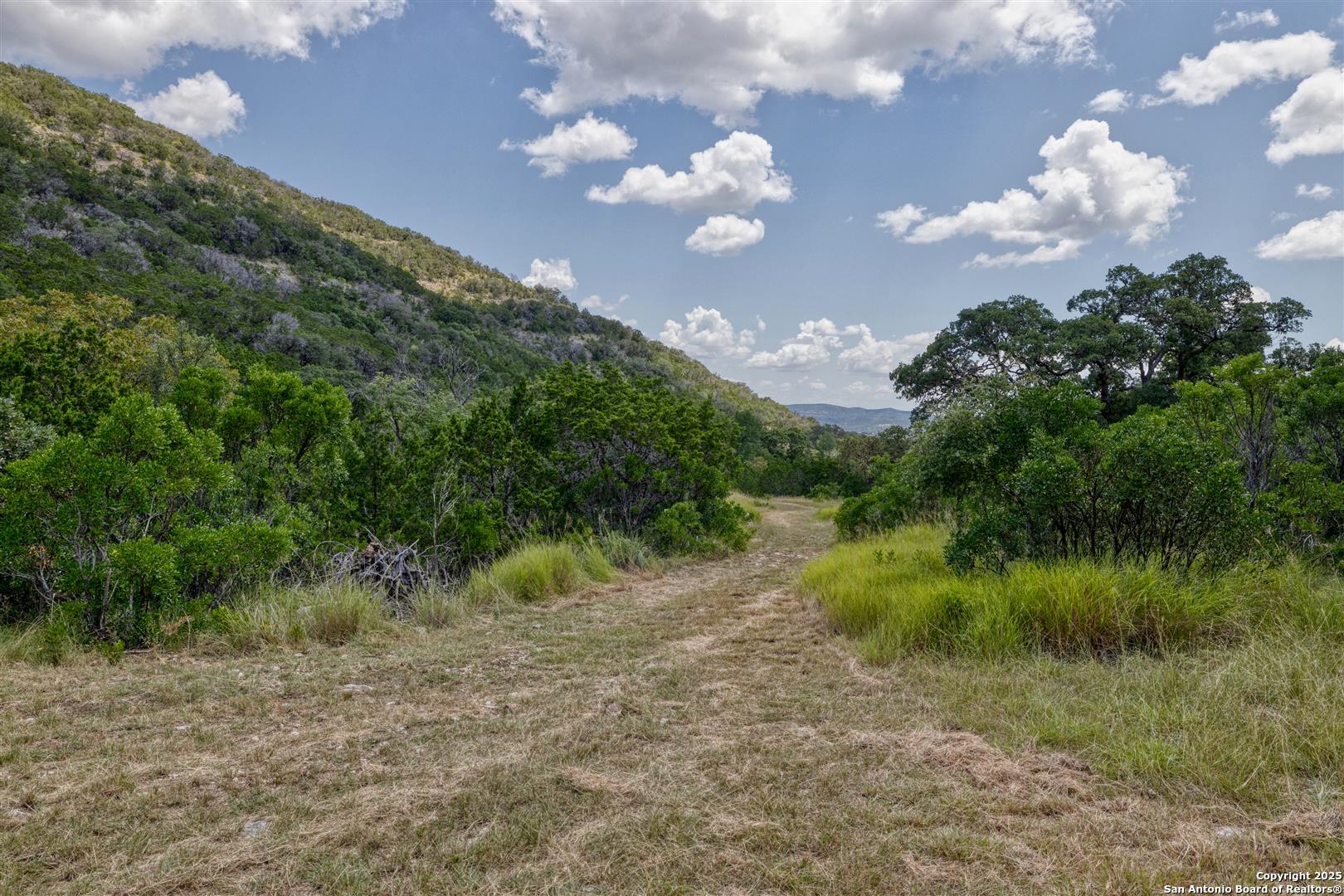 2242 Patterson Creek Road Leakey, TX 78873 - Photo 19 of 57 a view of a lake in middle of forest