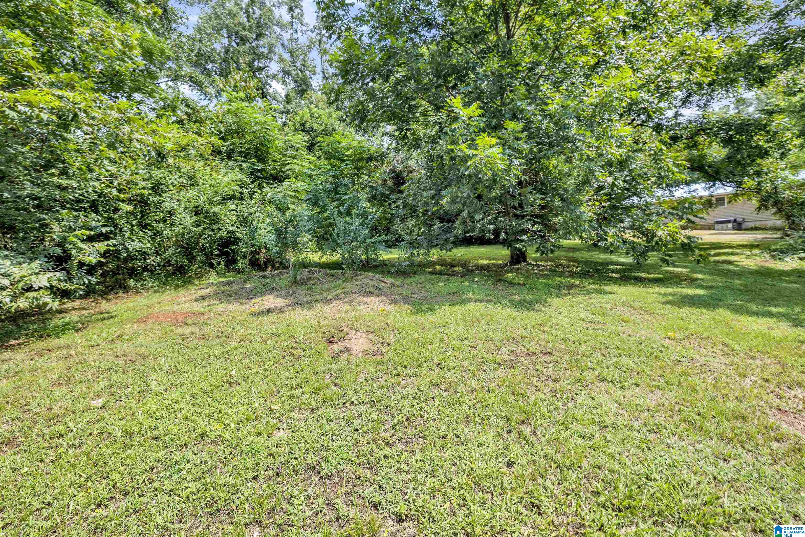 100 Salem Road Montevallo, AL 35115 - Photo 23 of 25