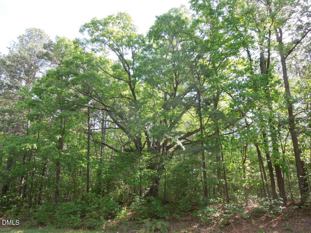 0 Glebe Road Henderson, NC 27537 - Photo 1 of 34 Old White Oak