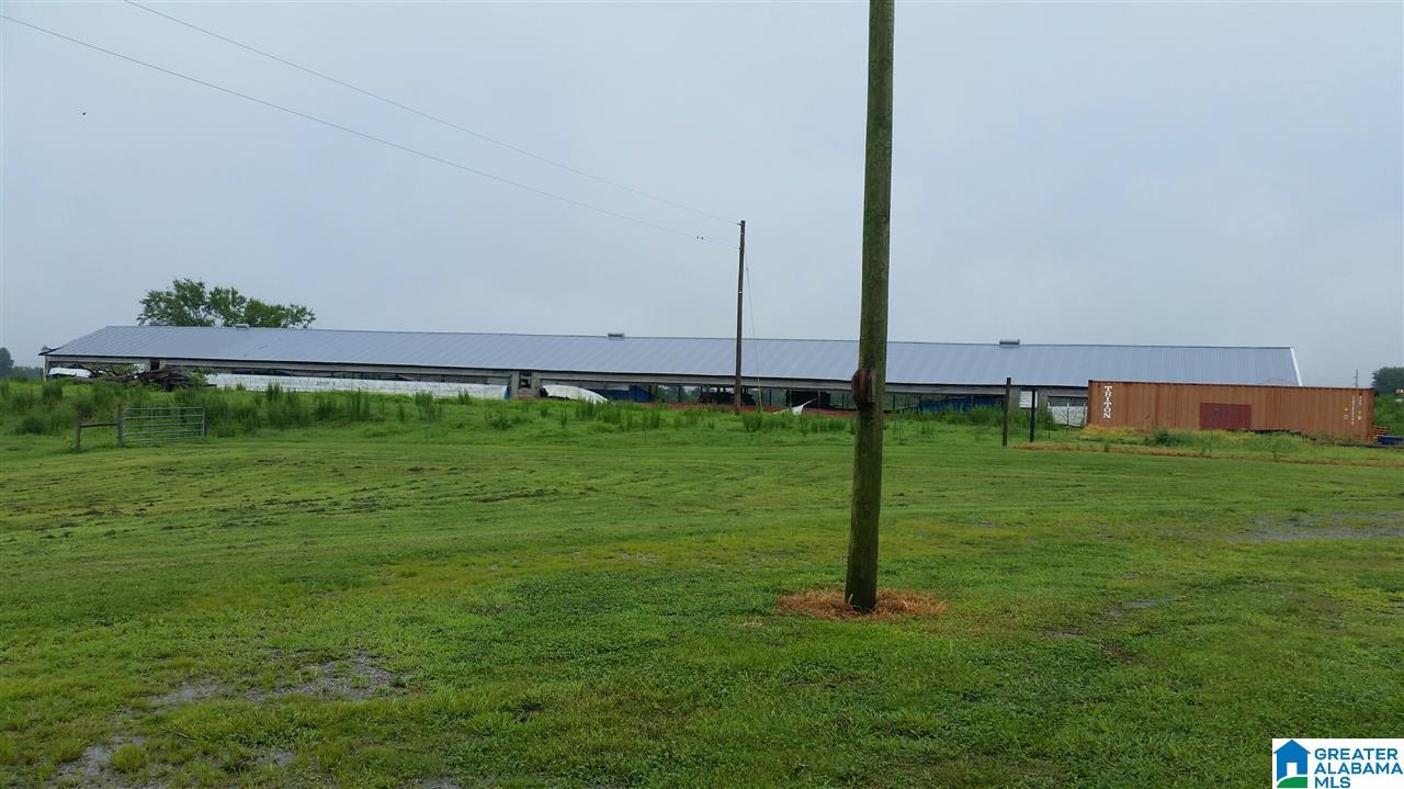 3951 County Road 940 Cullman, AL 35057 - Photo 15 of 17