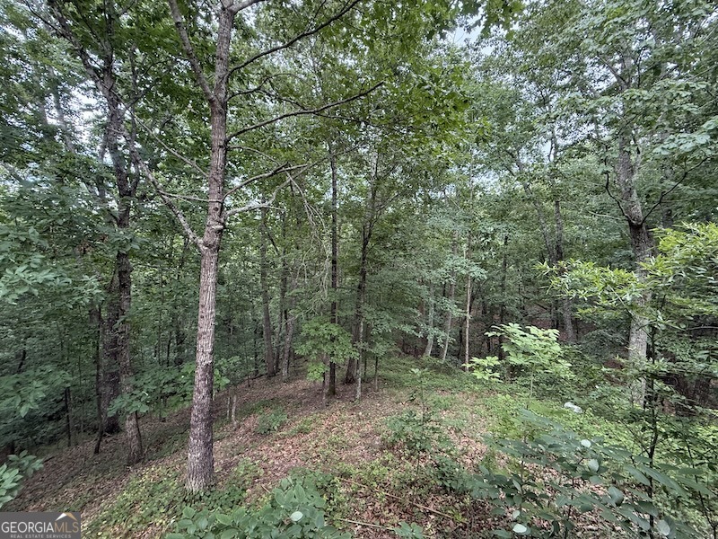 600 Ivory Drive Baldwin, GA 30511 - Photo 6 of 14