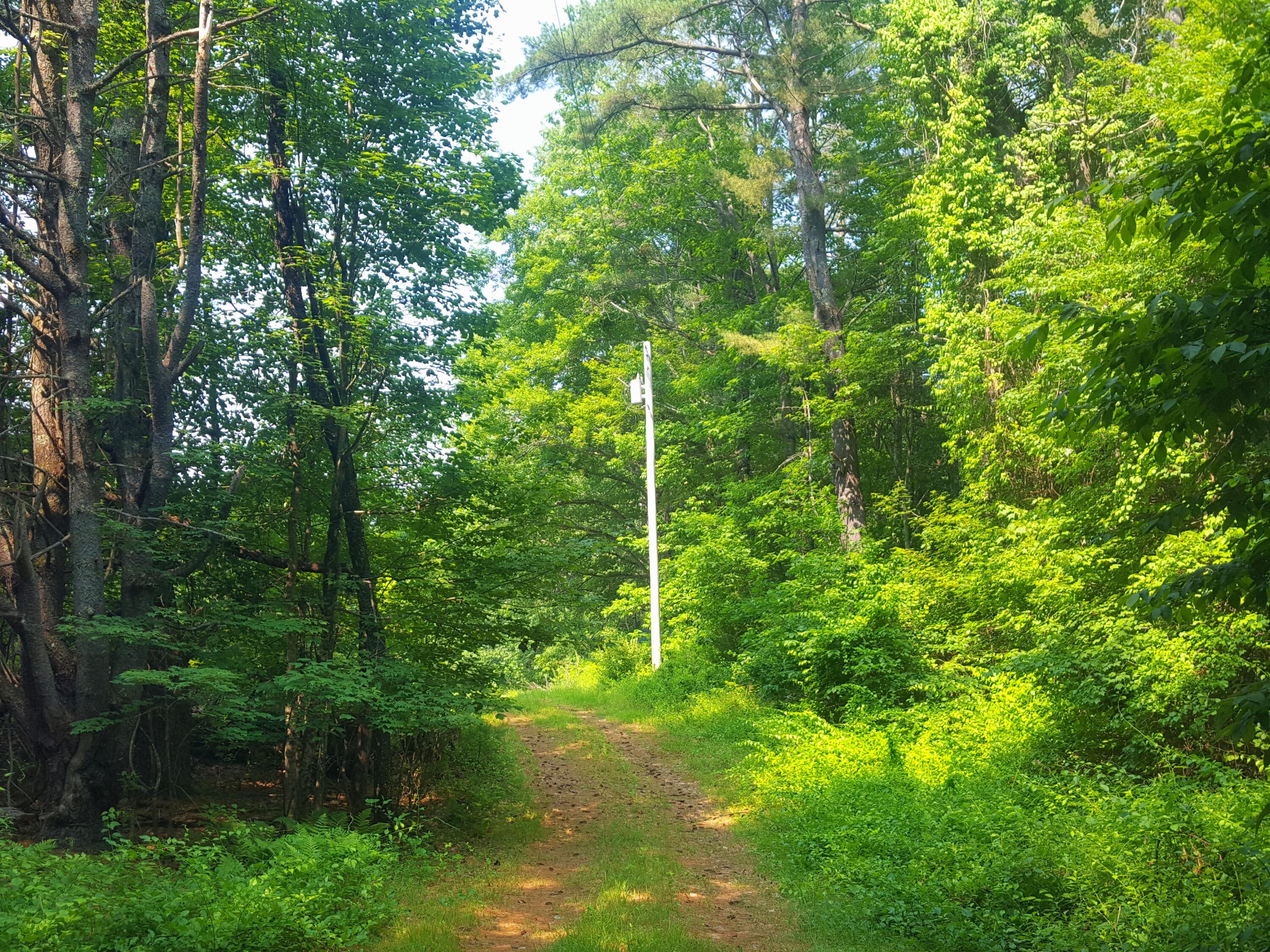 594 River Road Windham, ME 04062 - Photo 28 of 43 Driveway