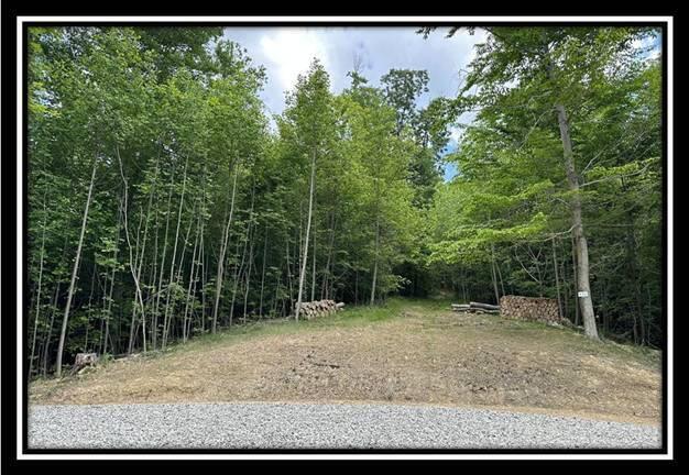 167 Weaver Road, Unit TRACT A) Chillicothe, OH 45601 - Photo 4 of 45 image004