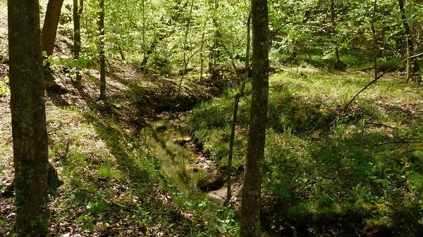 0 Lee's Ridge Road Martinsville, VA 24112 - Photo 15 of 26 Gallery Image 15