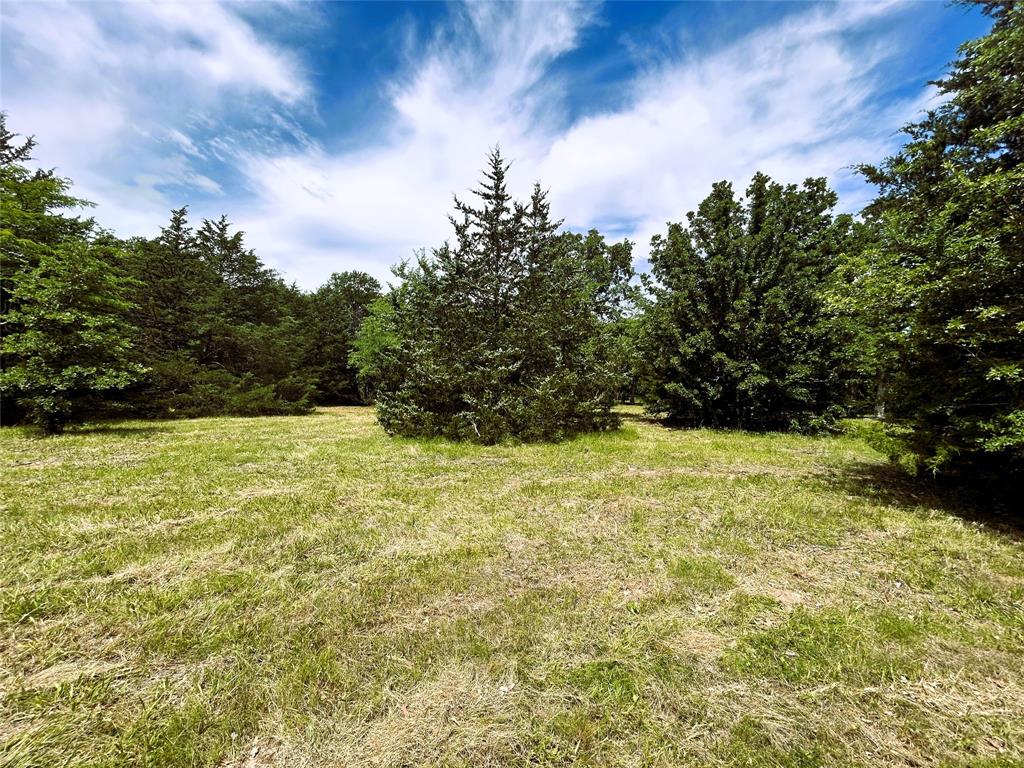 Lot 3 North Shore Road Quinlan, TX 75474 - Photo 1 of 10