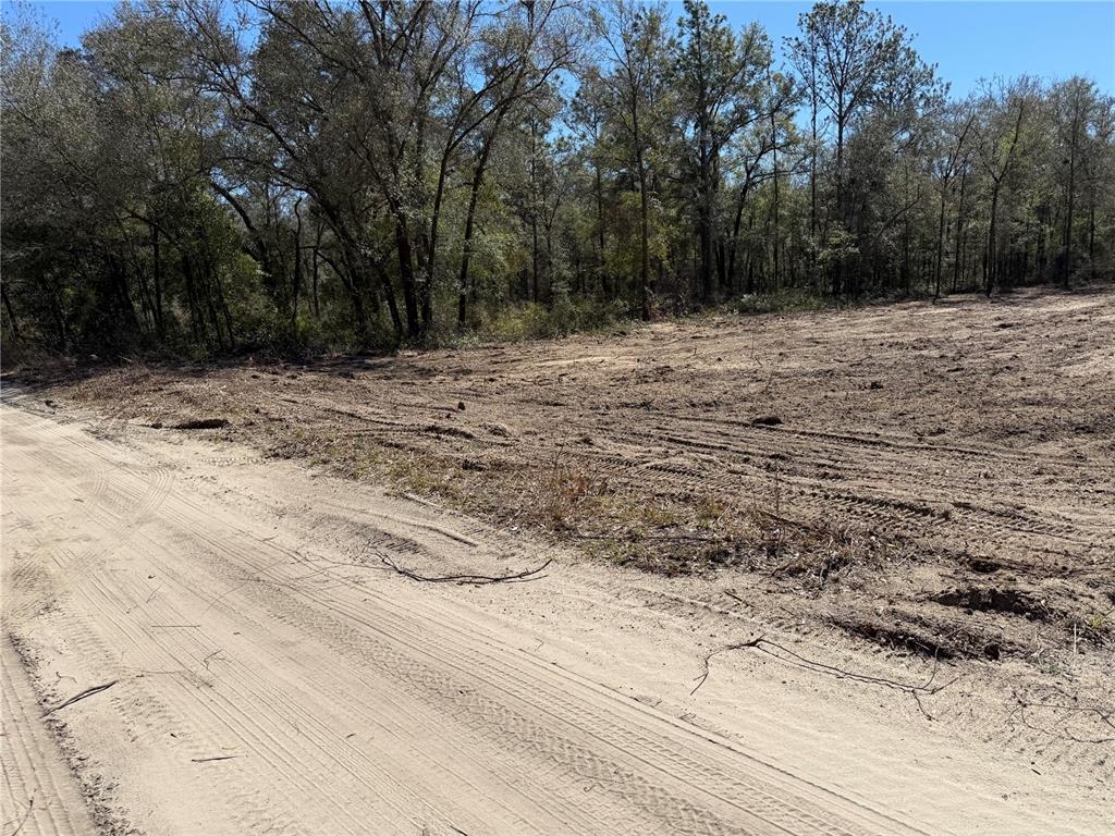 0 Northeast 82nd Place Bronson, FL 32621 - Photo 3 of 4