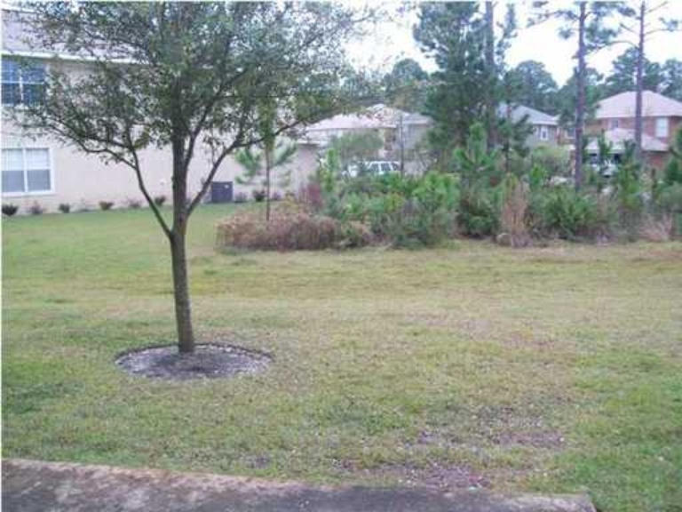 175 Loblolly Bay Drive Santa Rosa Beach, FL 32459 - Photo 4 of 11 a view of a tree in a yard