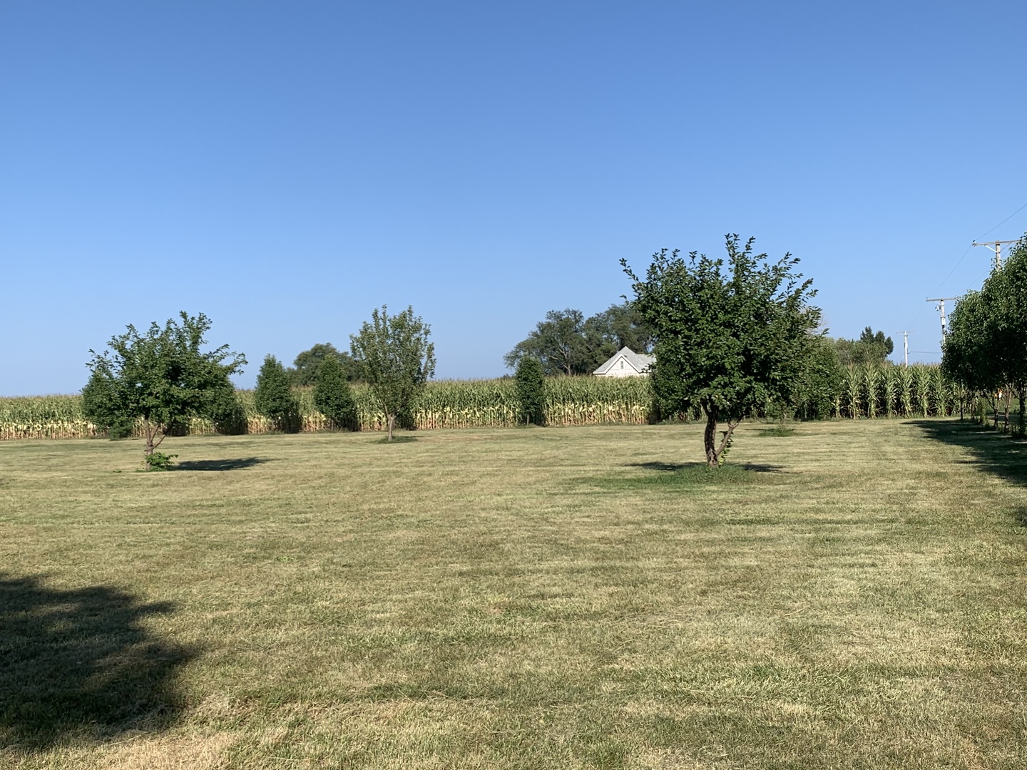 11890 East Bethel Road Rochelle, IL 61068 - Photo 8 of 18