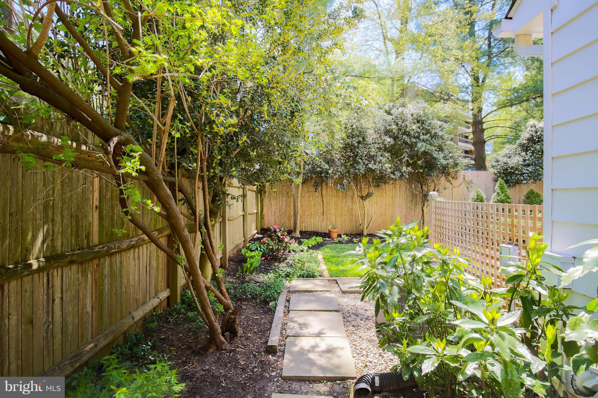 4906 Baltan Road Bethesda, MD 20816 - Photo 21 of 23 Landscaped Yard