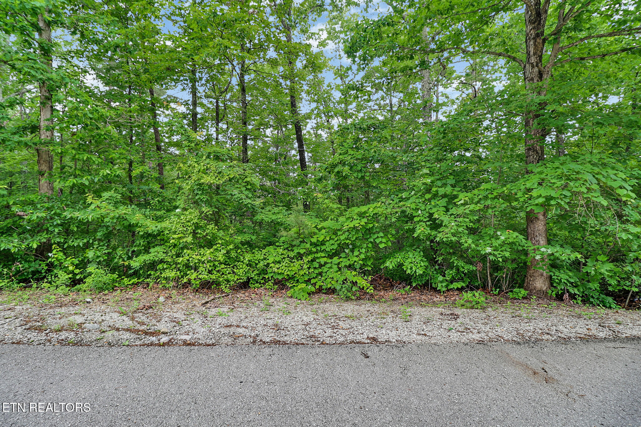 Eagle Bluff Jamestown, TN 38556 - Photo 9 of 37 n44a8498-n44a8502