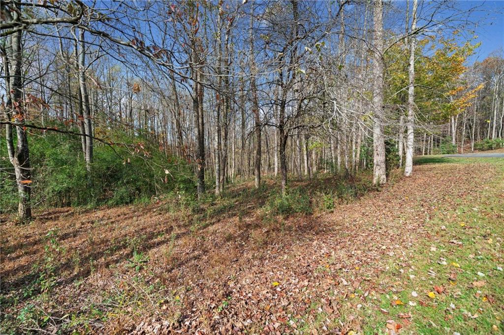 14 Highpoint Ridge Ellijay, GA 30536 - Photo 7 of 24 Gallery Image 7