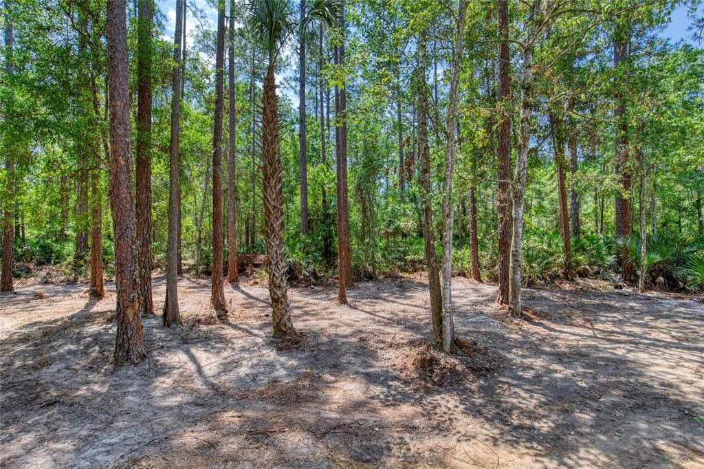 2089 Guava Lane Bunnell, FL 32110 - Photo 38 of 58