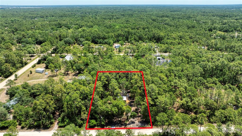 2089 Guava Lane Bunnell, FL 32110 - Photo 49 of 58