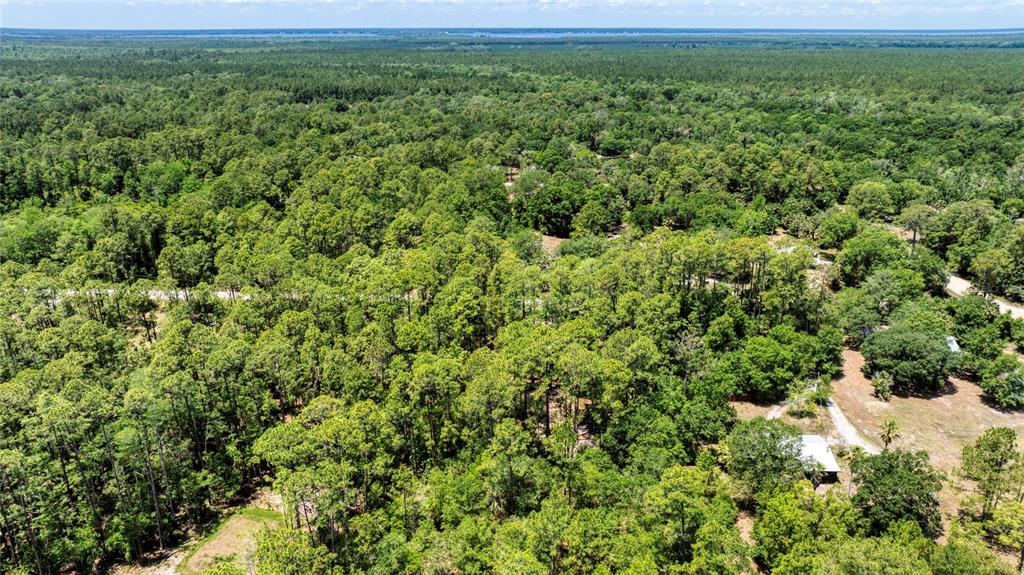 2089 Guava Lane Bunnell, FL 32110 - Photo 52 of 58